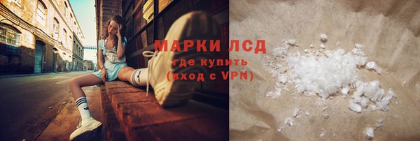 ГАЛЛЮЦИНОГЕННЫЕ ГРИБЫ Аркадак