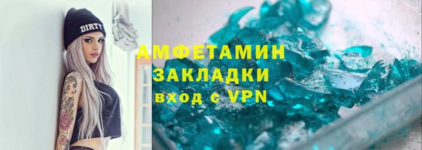 индика Арсеньев