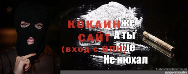 ГАЛЛЮЦИНОГЕННЫЕ ГРИБЫ Аркадак