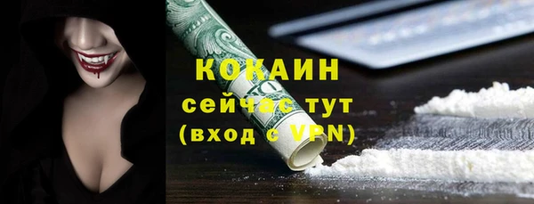 индика Арсеньев