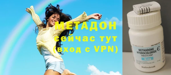 индика Арсеньев