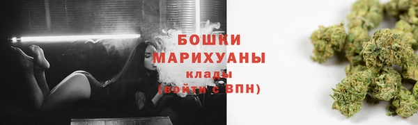 ГАЛЛЮЦИНОГЕННЫЕ ГРИБЫ Аркадак