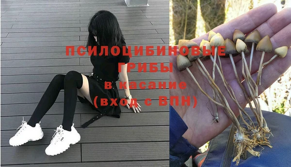 индика Арсеньев