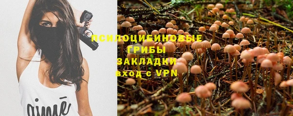 ГАЛЛЮЦИНОГЕННЫЕ ГРИБЫ Аркадак