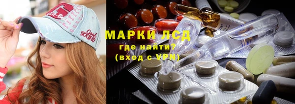 прущий лед Алзамай