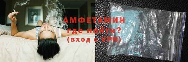 индика Арсеньев