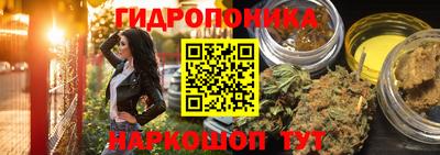 МДПВ Волгодонск